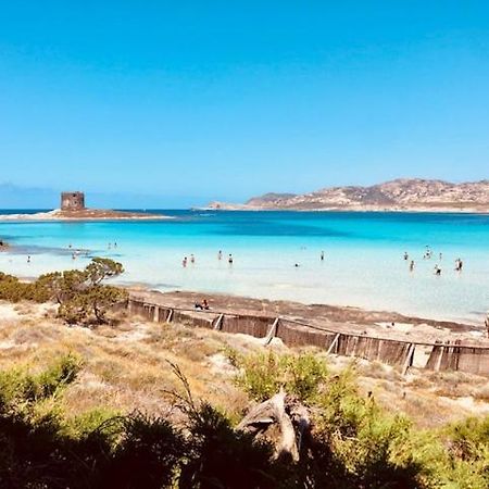 Villetta Indipendente Immersa Nel Verde Stintino Buitenkant foto