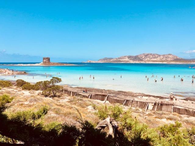 Villetta Indipendente Immersa Nel Verde Stintino Buitenkant foto
